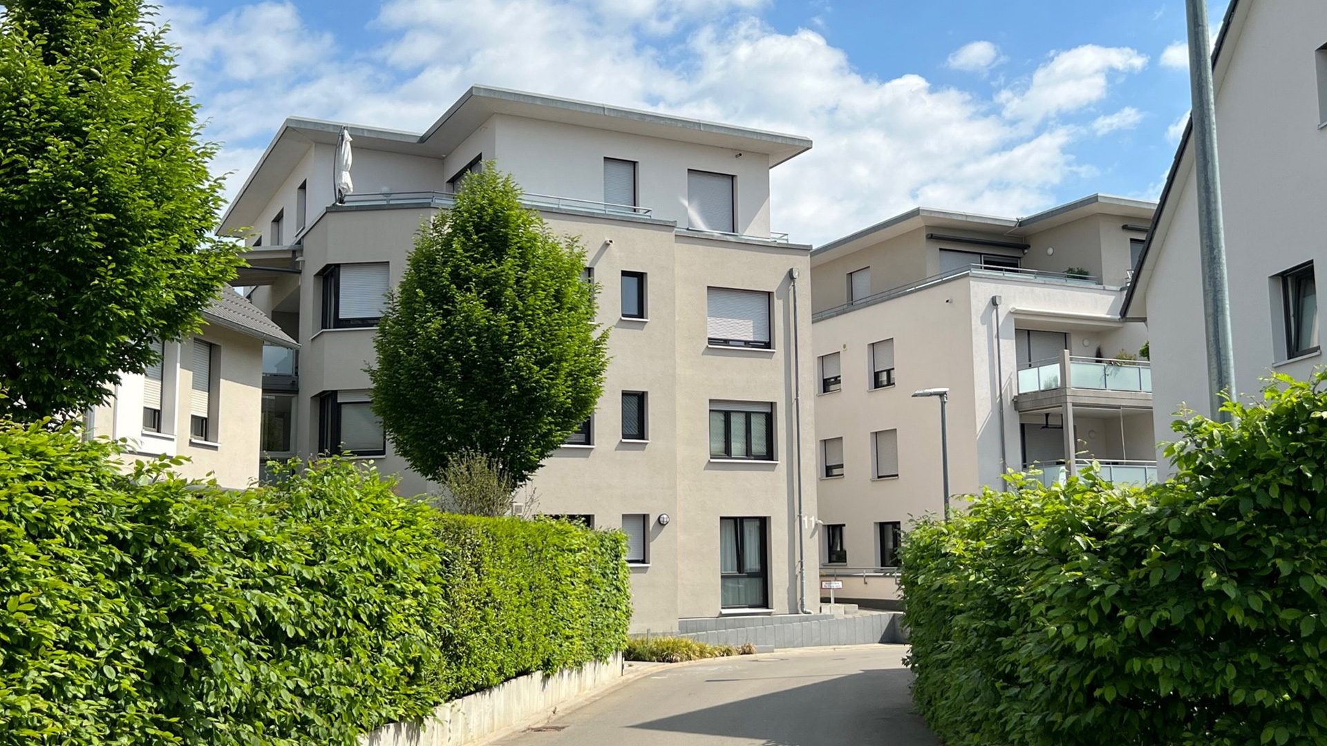 Brauneisen Kelterquartier